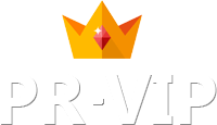 PR-VIP.RU: автоматизированный сервис раскрутки в социальных сетях Logo