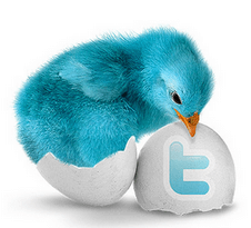 Логотип твиттера